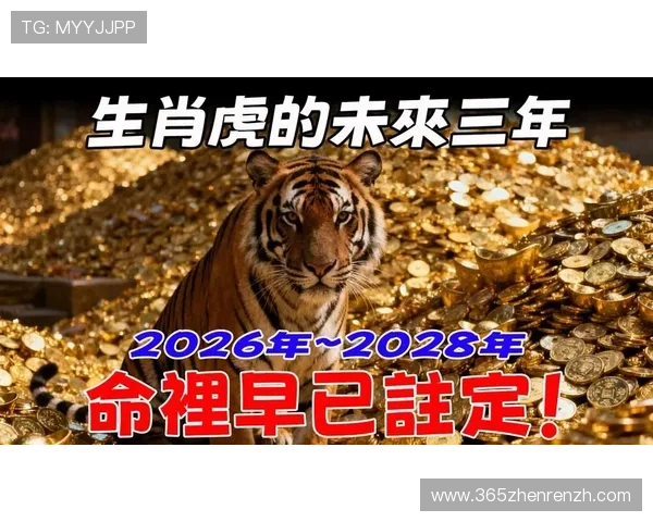 属龙属虎的命理配对：从八字角度分析两者的婚姻与事业发展潜力